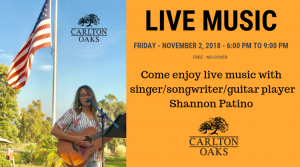 Copy of ShannonMusic